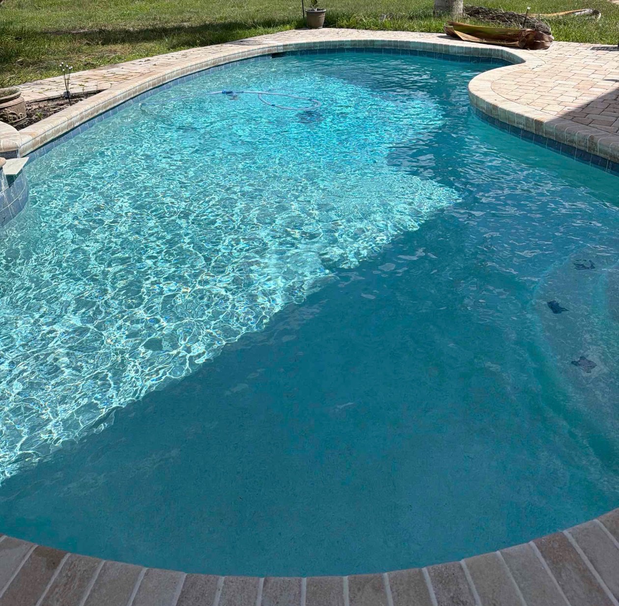 Freestyle residential pool with clear blue water maintained by Ryder Pools FL