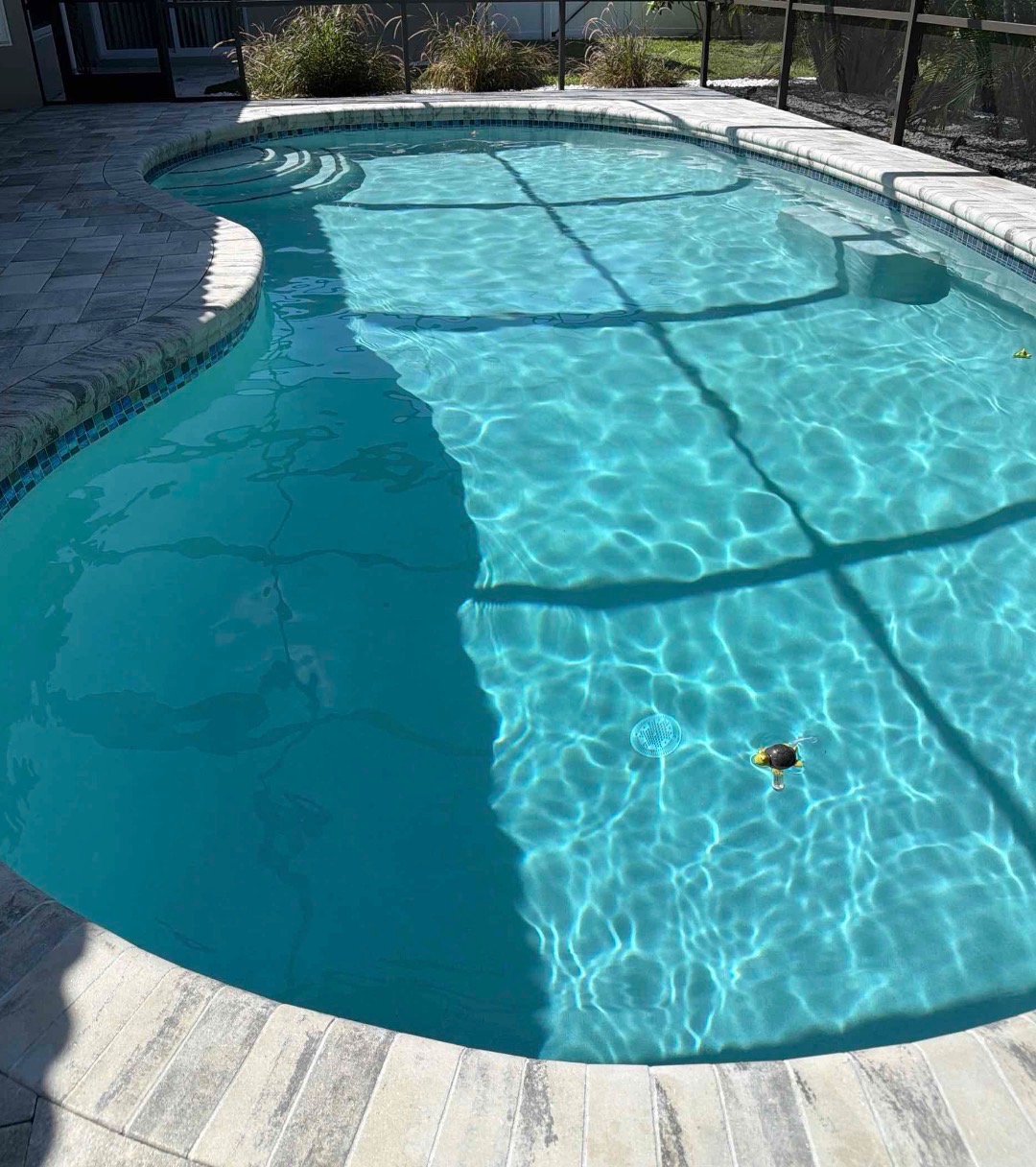 Screened backyard pool with clear water after weekly pool service